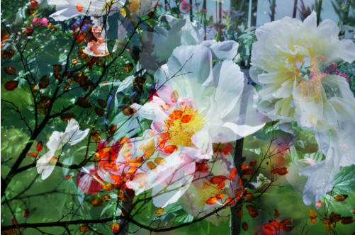 FLORALE KOMPOSITION