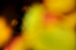 FARBEN IM HERBST