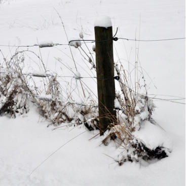 WINTERLANDSCHAFT