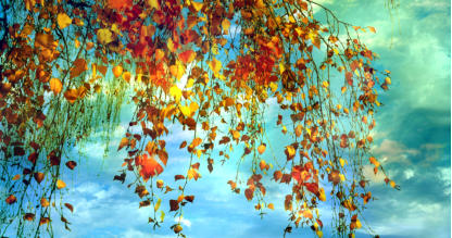 HERBST IMPRESSION
