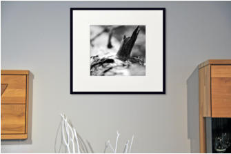 AST - Fine Art Kunstdruck