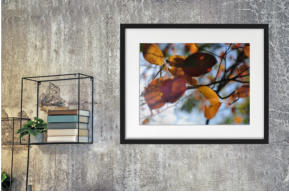 LAUB IM WIND - Kunstdruck Fine Art