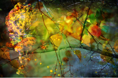 WENN DER HERBST EINZUG HLT