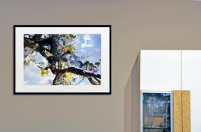 NATUR IM FRHLING - Kunstdruck Fine Art