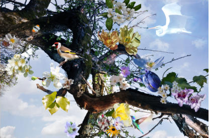 NATUR IM FRHLING - Acrylglas