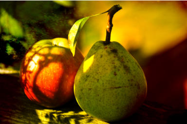 OBSTGARTEN