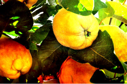 FARBEN IM HERBST