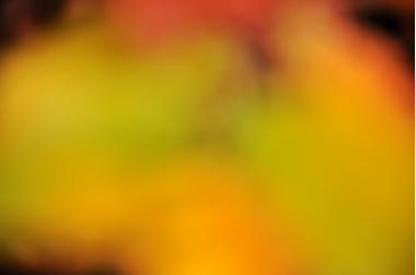 HERBSTIMPRESSION 2