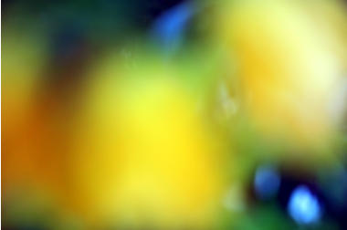 FARBEN DER DINGE