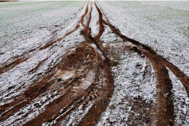 SPUREN IM FELD