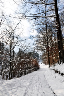 EIN WINTERTAG