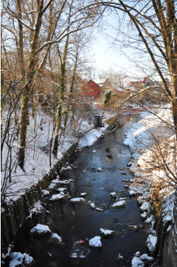 BACH IM WINTER