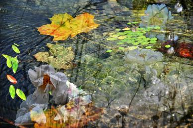 GARTENTEICH