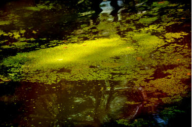 ABENDSONNE AM WASSER