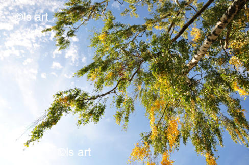 ATMOSPH�RE - Atmosphere